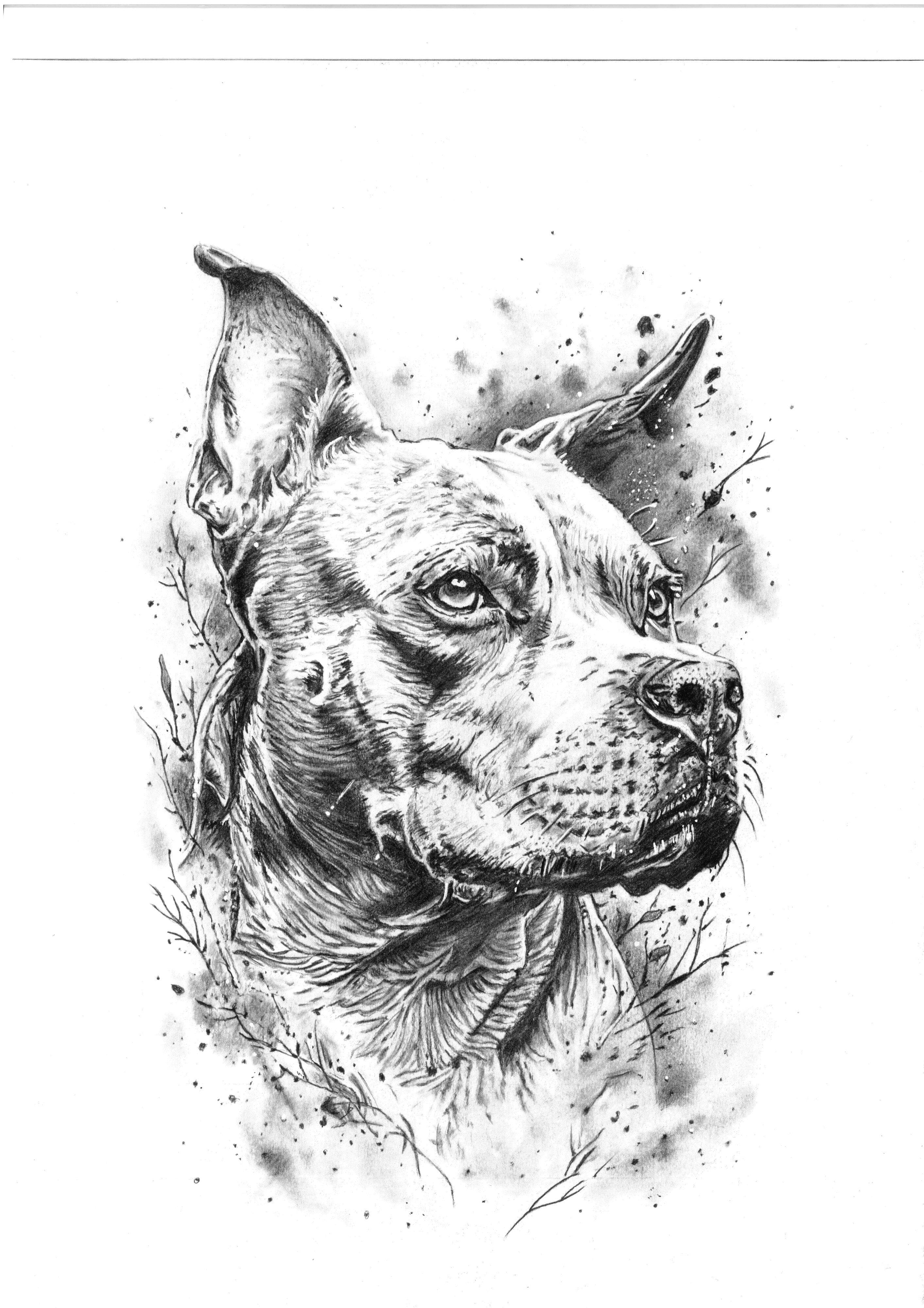 Handgetekend hondenportret in potlood: Franse bulldog, zittend