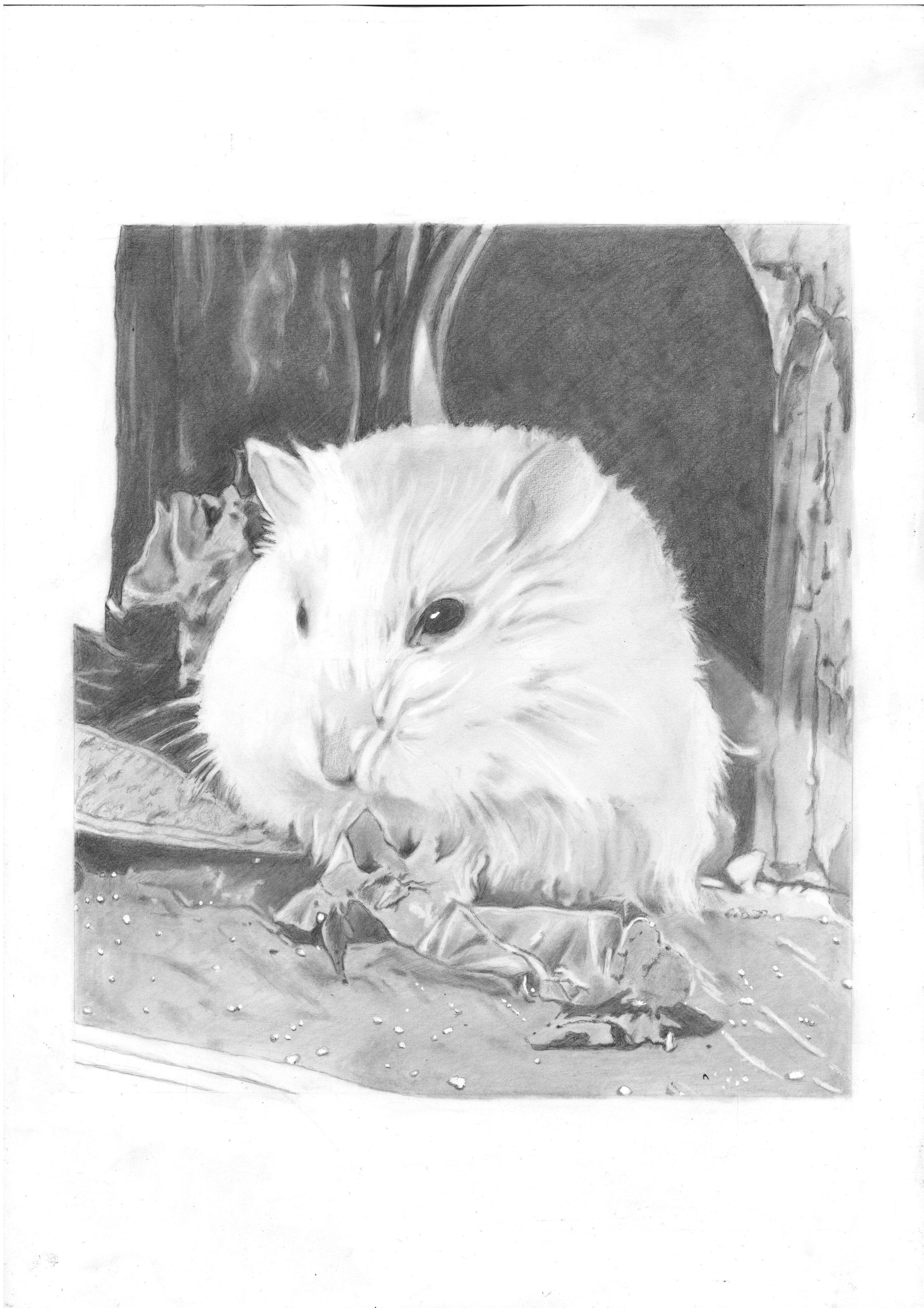 Handgetekend hamsterportret in potlood: witte hamster in zacht licht
